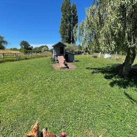 Les Mouettes * Verton