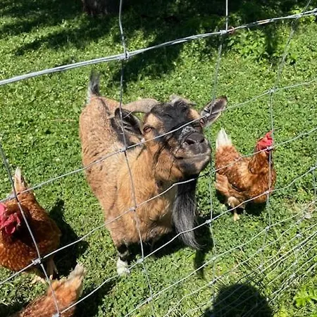 Les Mouettes Дом отдыха