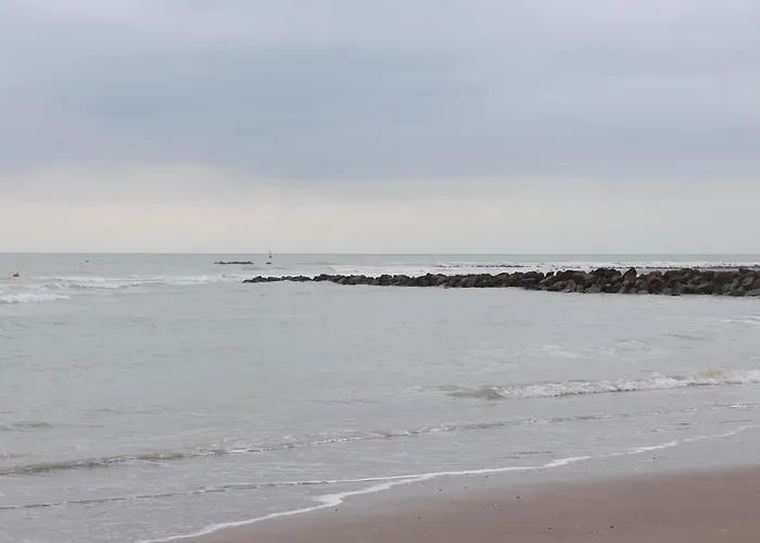 Les Mouettes Hébergement de vacances *